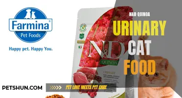 N&D Quinoa: The Ultimate Solution for Urinary Health in Cats