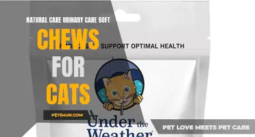 Improving Urinary Health in Cats with Natural Care Urinary Care Soft Chews