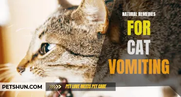 Treating Cat Vomiting: Unveiling Natural Remedy Options