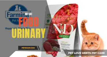 Understanding Cat Food: The Connection between Urinary Health and Diet