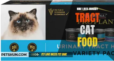Why Nine Lives Urinary Tract Cat Food Is Essential for Your Feline's Health