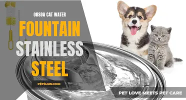 The Importance of the ORSDA Cat Water Fountain Stainless Steel for Your Feline Friend