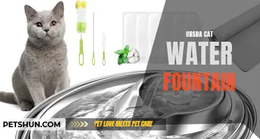 Enhance Your Cat's Health and Hydration with the Orsda Cat Water Fountain