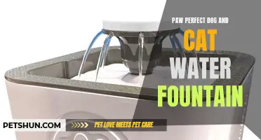The Paw Perfect Solution: Introducing the Dog and Cat Water Fountain
