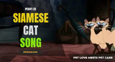 The Timeless Charm of Peggy Lee's Siamese Cat Song