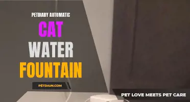 Why You Should Consider the PetDiary Automatic Cat Water Fountain for the Hydration Needs of Your Feline Companion