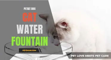 The Ultimate Guide to Petkit Dog Cat Water Fountain: Everything You Need to Know