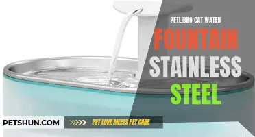 The Benefits of a Stainless Steel Petlibro Cat Water Fountain