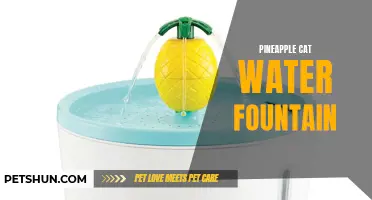Why a Pineapple Cat Water Fountain Might Be the Perfect Addition to Your Home