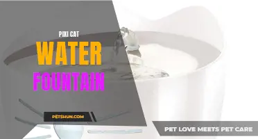 Benefits of Using a Pixi Cat Water Fountain