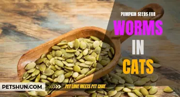 The Benefits of Pumpkin Seeds for Worms in Cats