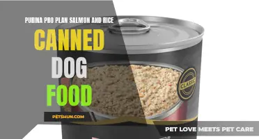Purina Pro Plan's Salmon and Rice: Premium Canned Dog Food