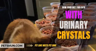 Understanding the Benefits of a Raw Food Diet for Cats with Urinary Crystals