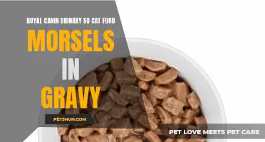 The Benefits of Royal Canin Urinary SO Cat Food Morsels in Gravy
