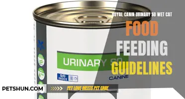 Understanding Royal Canin Urinary So Wet Cat Food Feeding Guidelines for Optimal Feline Health