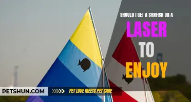 Choosing the Perfect Sailboat for Ultimate Enjoyment: Sunfish versus Laser