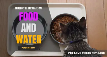 Is it Important to Separate Cat Food and Water? Here's What You Should Know