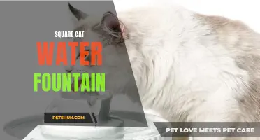 The Square Cat Water Fountain: A Stylish Solution for Your Feline's Hydration
