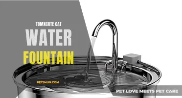 Introducing the TomxCute Cat Water Fountain: A Hygienic Solution for your Feline Friend