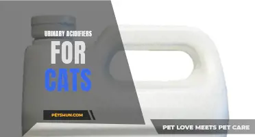 Understanding the Importance of Urinary Acidifiers for Cats