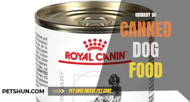 Urinary SO Canned Dog Food: Promoting Your Dog's Urinary Health