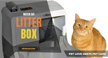 The Benefits of Using a Water-Based Cat Litter Box for Your Feline Friend