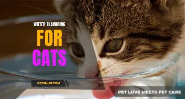 The Purrfect Way to Hydrate: Water Flavoring for Cats