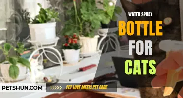 The Importance of Using a Water Spray Bottle for Cats
