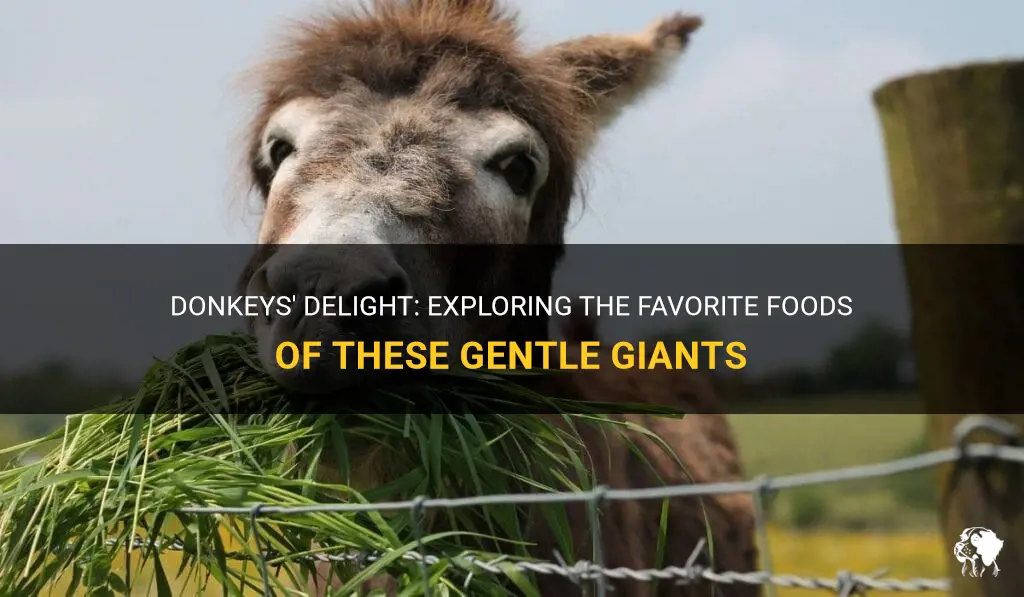 what are donkeys favorite food