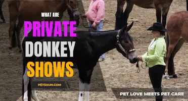 Exploring the World of Private Donkey Shows