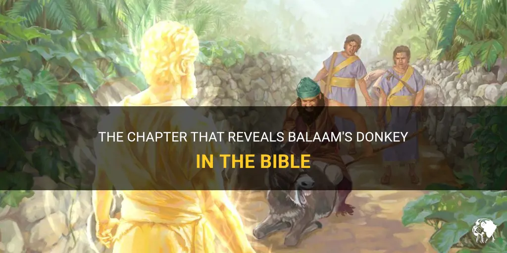 what chapter is balaam