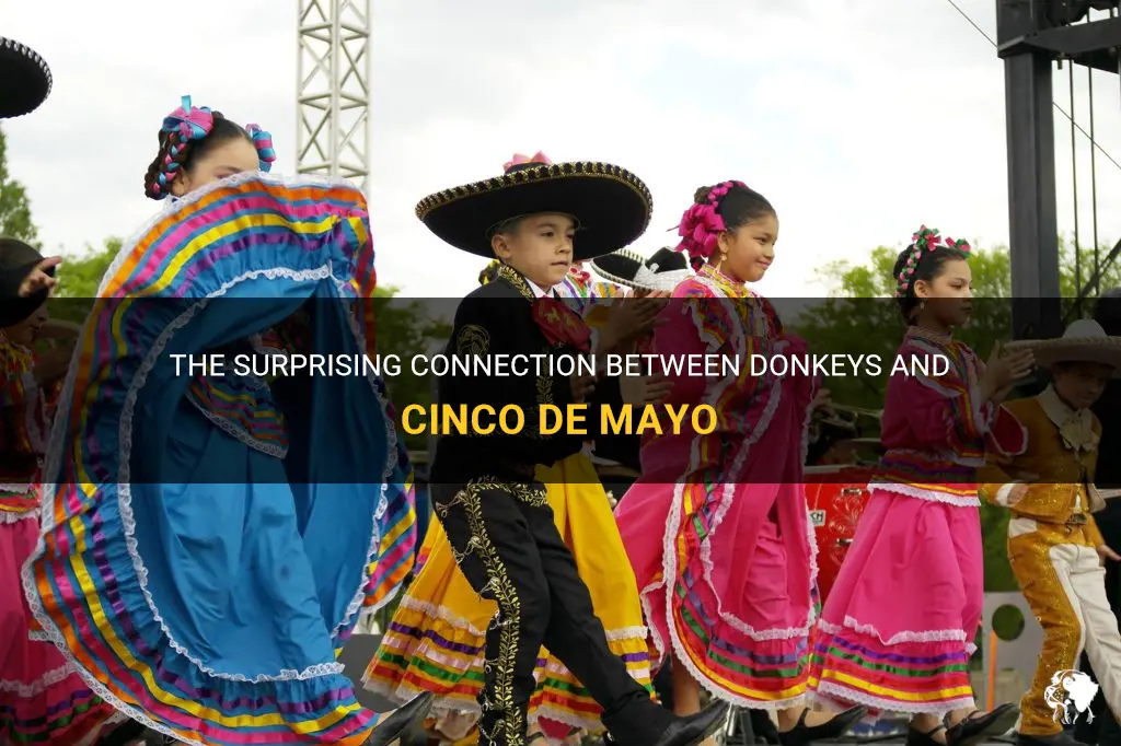 what do donkeys have to do with cinqo de mayo