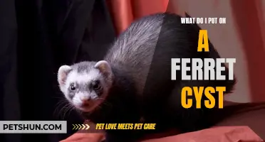 What Products Should I Use to Treat a Ferret Cyst?