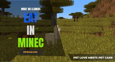What Do Llamas Eat in Minecraft: A Guide to Feeding Your Trusty Companions