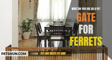 The Best Pet Gates for Ferrets: Choose the Ideal Barrier for your Furry Friends