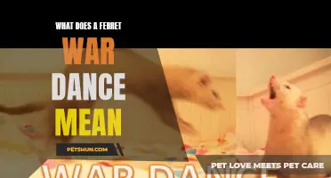 The Significance of the Ferret War Dance: Exploring its Meaning and Purpose