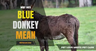 Unveiling the Meaning Behind 'Blue Donkey': A Closer Look at this Enigmatic Phrase