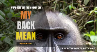 Understanding the Meaning behind "Get the Monkey off my Back