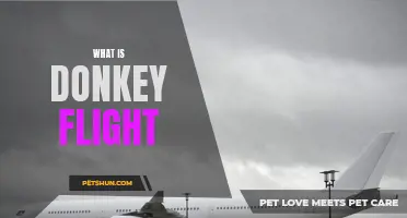 Understanding the Concept of Donkey Flight