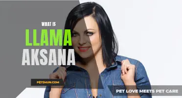 What is Llama Aksana and Why is it Trending?