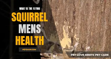 The Secrets of the Flying Squirrel: A Guide to Men's Health