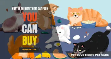 The Quest for the Healthiest Cat Food: Unveiling the Optimal Nutrition for Your Feline Friend