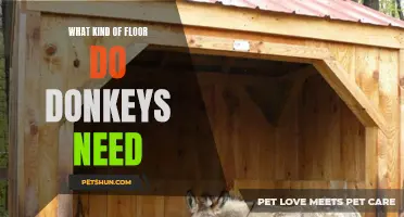 What Kind of Flooring is Best for Donkeys?