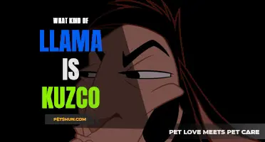 What Kind of Llama is Kuzco? Uncovering the Truth Behind Disney's Notorious Emperor