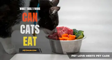 The Ultimate Guide: What Table Foods Can Cats Eat?