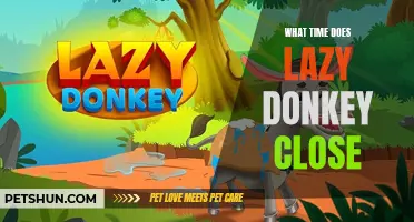 What Are the Closing Hours of the Lazy Donkey?