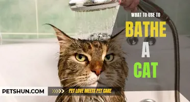 The Best Products to Use for Bathing Your Cat