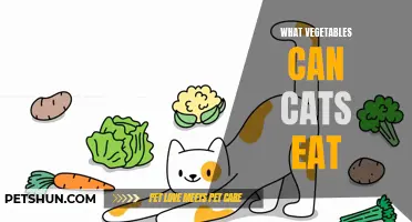 Safe Vegetables for Cats: Which Ones Can They Eat?