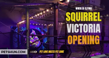 Flying Squirrel Victoria: Opening Date and Highlights for the Ultimate Trampoline Park Experience