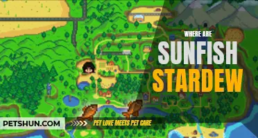 Where Can You Find Sunfish in Stardew Valley?